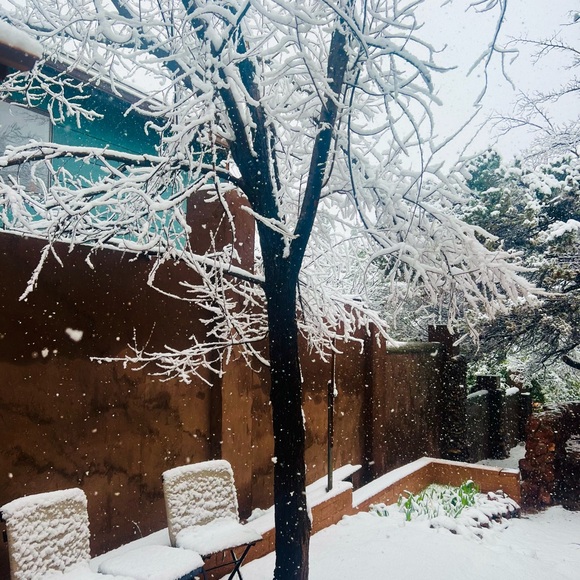 Aloha 🌸 - Picture 11 of 11